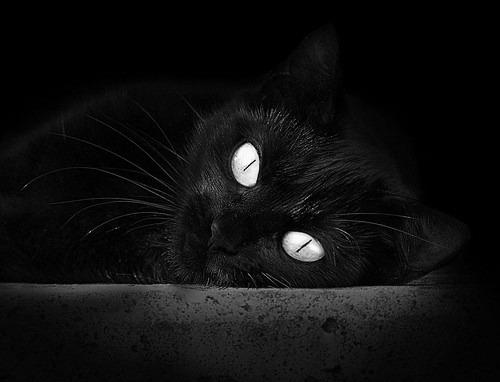 “足球公益活动在贫困地区扎根，普及足球运动”，足球公益活动策划方案