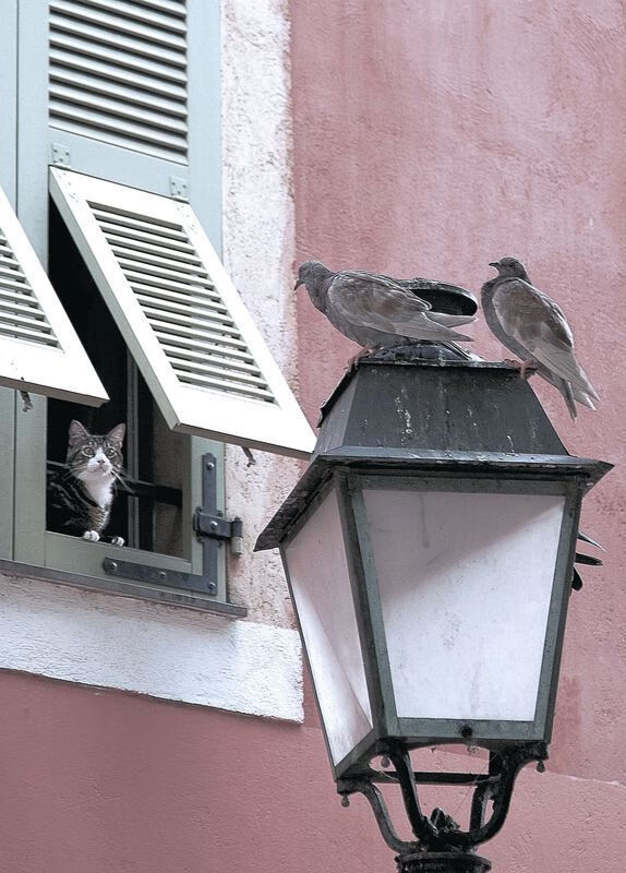 决赛特辑：历史上最经典的总决赛瞬间，历年总决赛得分