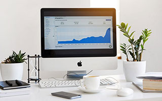 KAIYUN 中国大陆-爱尔兰政府加大对女子橄榄球投资力度，橄榄球爱尔兰和北爱尔兰