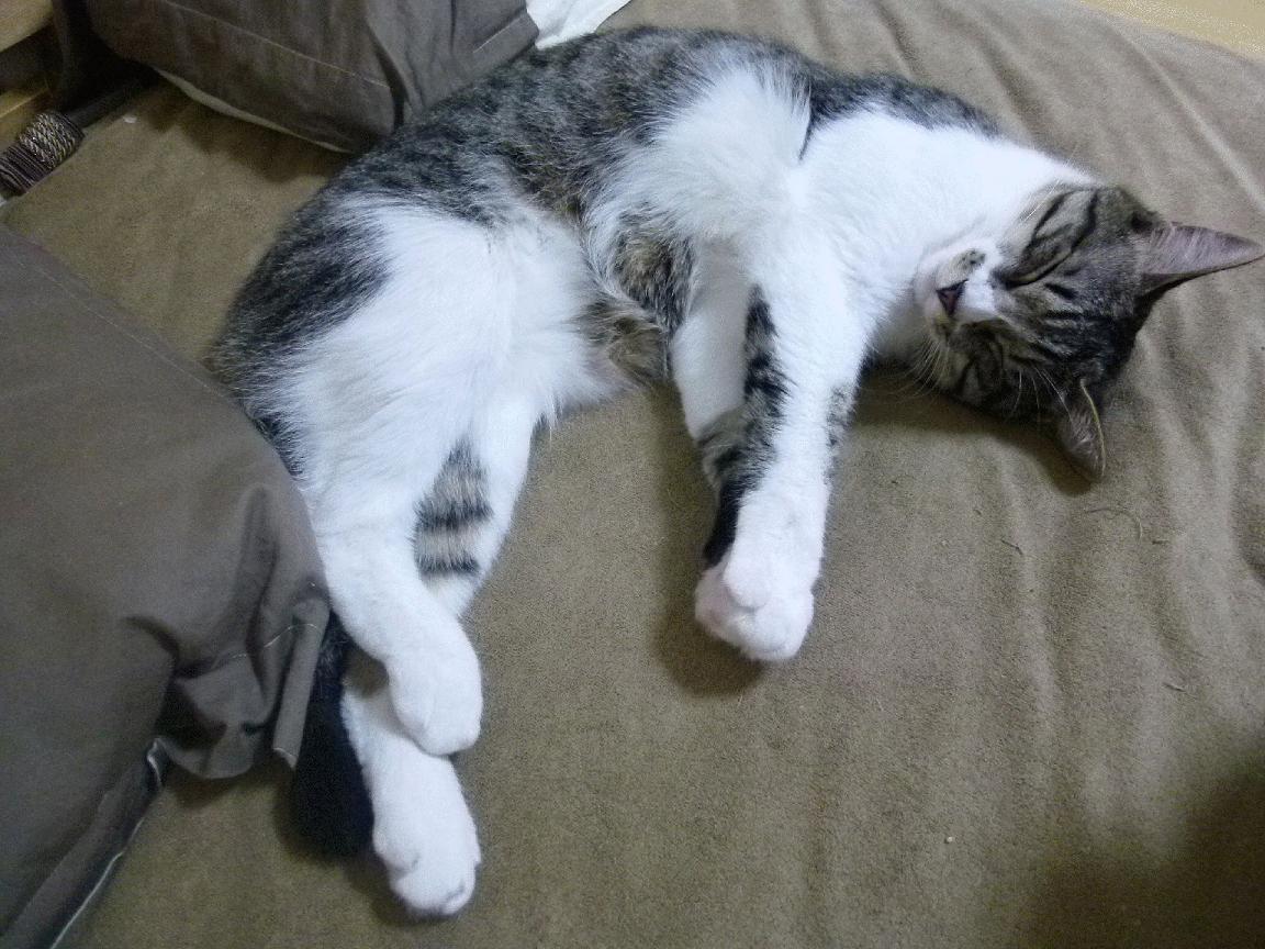 kaiyun官方网站-“中超联赛引入先进的电子计时技术”，中超技术统计