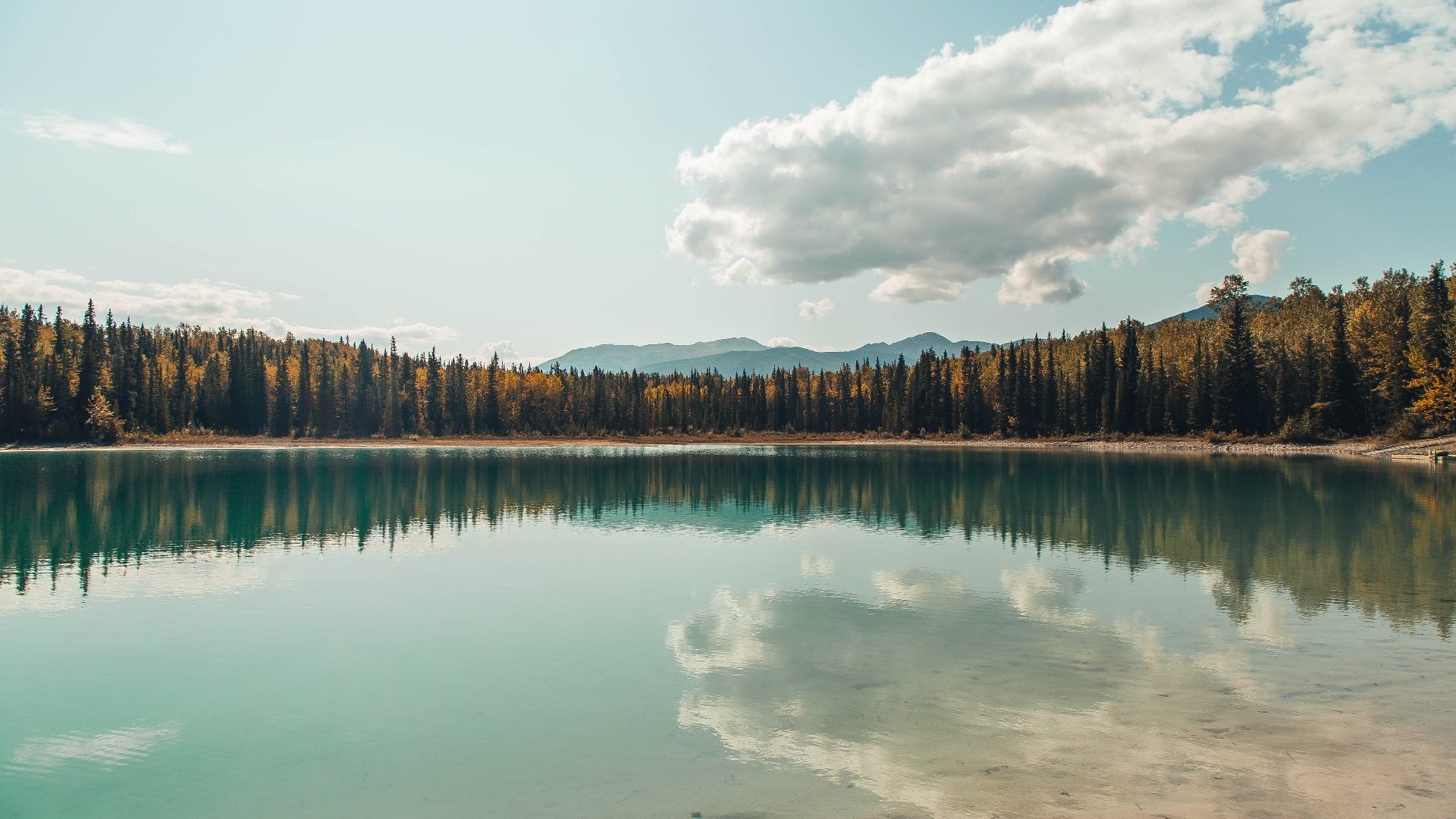 【全景直播】利用VR技术体验入场感受,vr实景体验