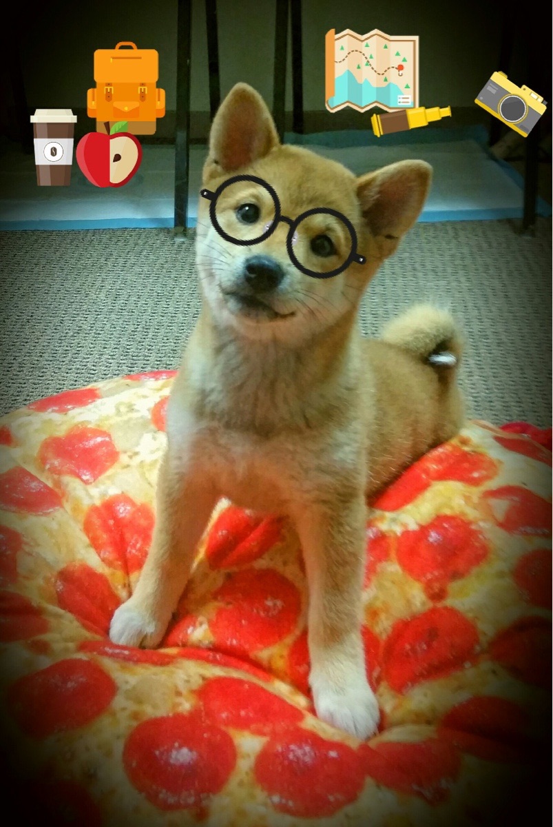 中国男篮国家队集训营引来众多青年新人加盟，中国男篮集训队首次人员调整 新闻