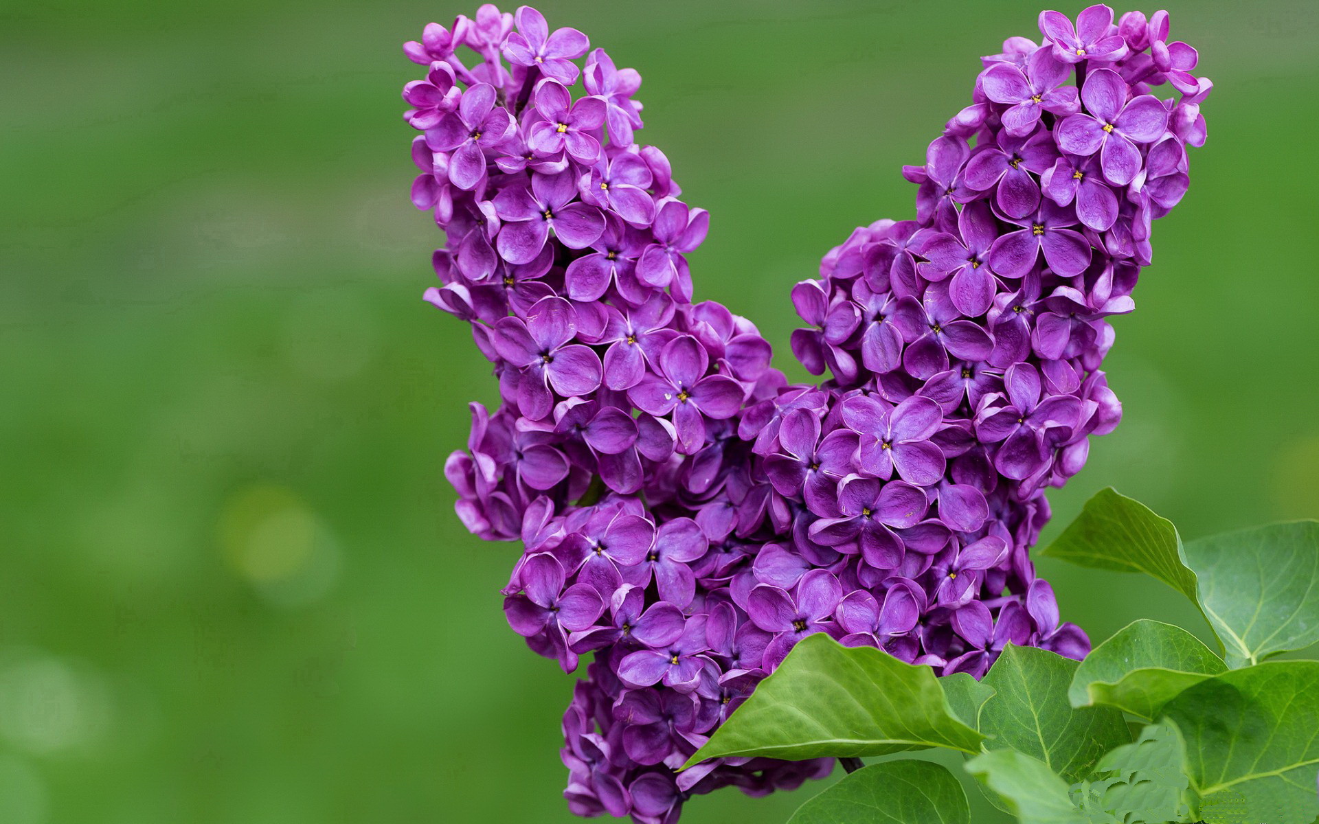 开云官方网页登录-中国篮球文化节成功举办多场活动，篮球文化节活动方案